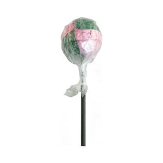 MULTITRANCE CANNABIS LOLLIPOPS - BUBBLEGUM multitrance