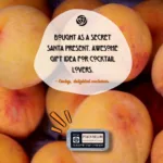 Peach Bellini Lip Balm 10ml naturecreations uk